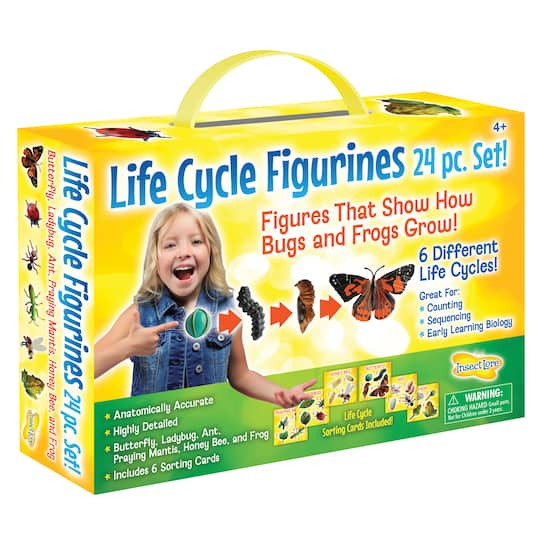Insect Lore Life Cycle Figurine 24 Piece Set